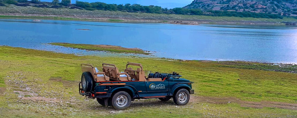 jawai safari