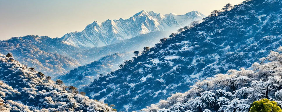 jawai and mount abu